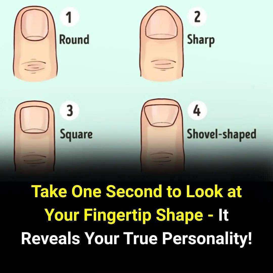 The shape of your fingertips reveal your true personality