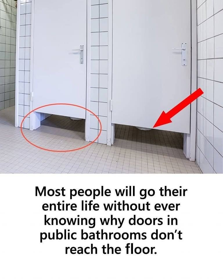 Why Doors in Public Bathrooms Don’t Reach the Floor