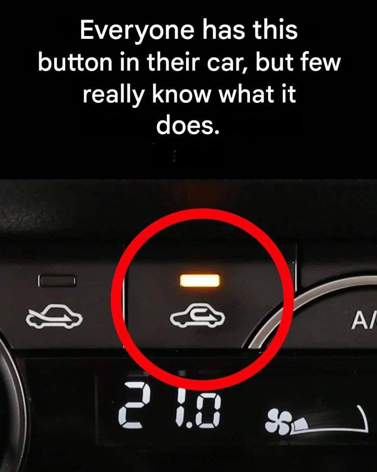 This Hidden Button Could Save Your Life — But Most Drivers Ignore It