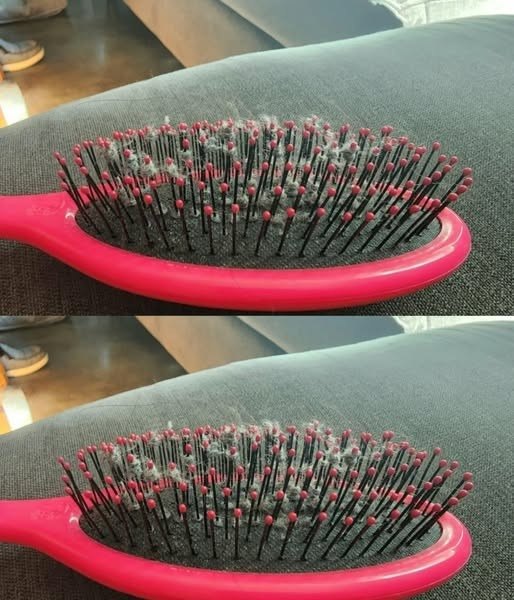 The Mystery of the Gray Fuzz on Your Hairbrush (And How to Fix It)