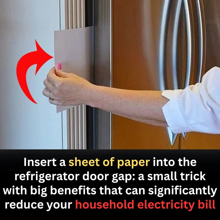 Insert a sheet of paper into the refrigerator door gap: a small trick with big benefits that can significantly reduce your household electricity bill