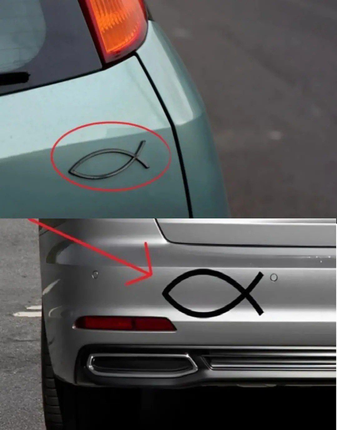 The Meaning Behind the Small Fish Symbol Seen on Some Cars