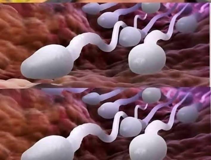 Doctors Reveal That Swallowing Leads to… See More