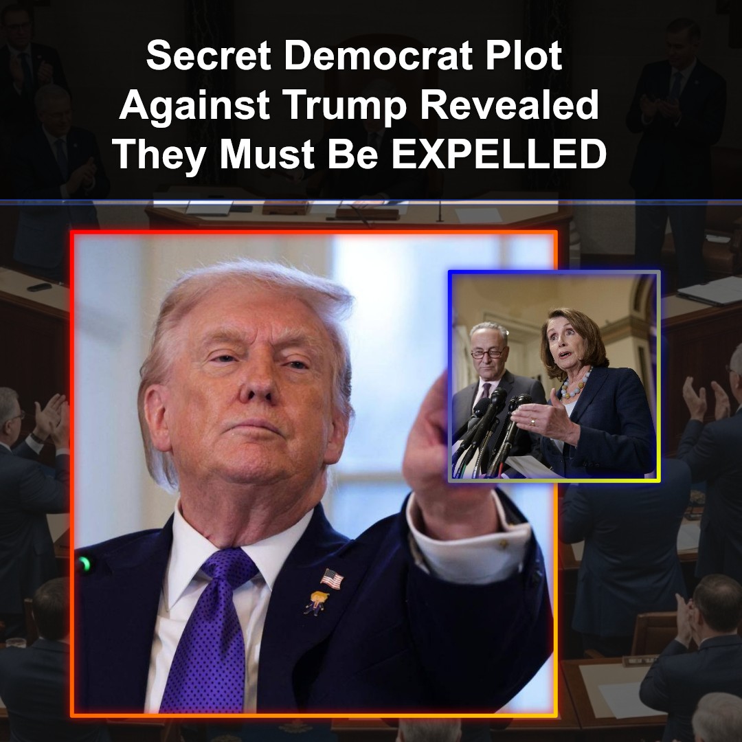 Secret Democrat Plot Against President Donald Trump Revealed – They Must Be EXPELLED