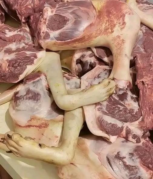 Breaking News: Man Arrested in California for Selling Contaminated Meat — What Went Wrong, What It Means, and Why You Should Care