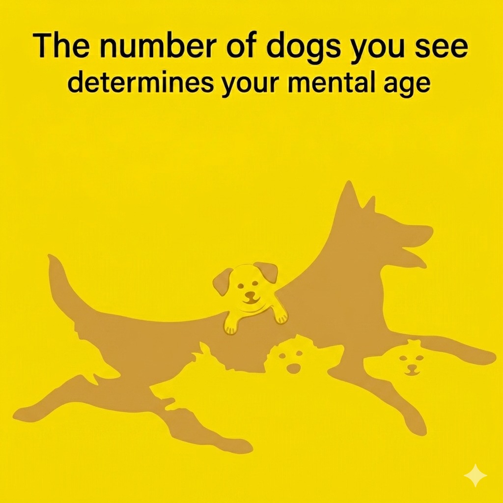 🤔The number of dogs you see in this picture determines your mental age👀 FULL ARTICLE IN THE FIRST COMMENT !!!⤵️