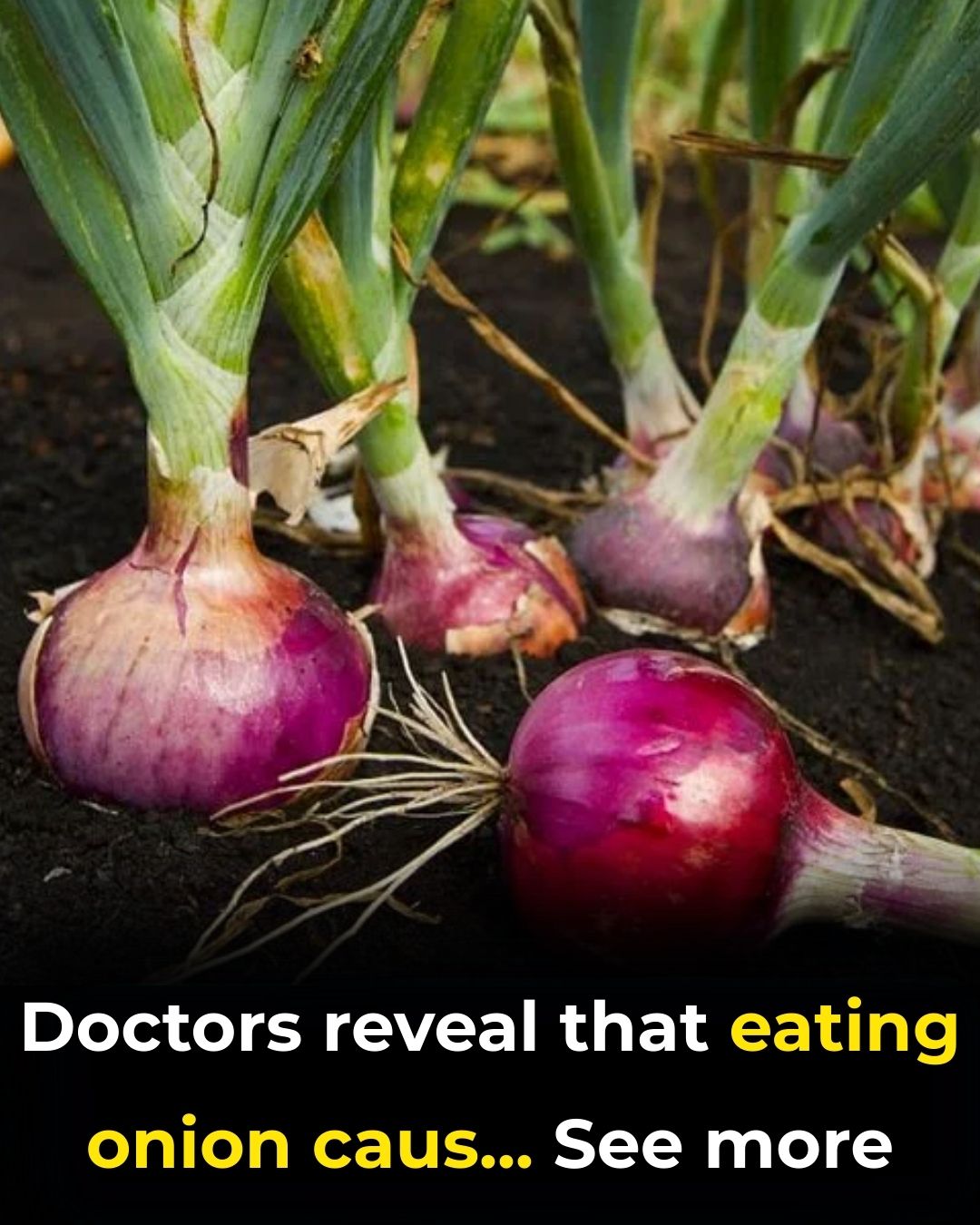 Doctors reveal that eating onion causes…