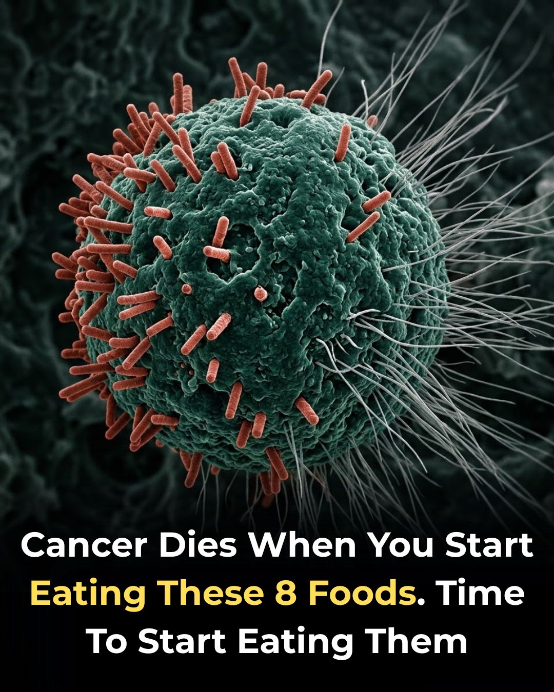 8 of the Best Anti-Cancer Foods. It’s Time to Start Adding them to Your Diet